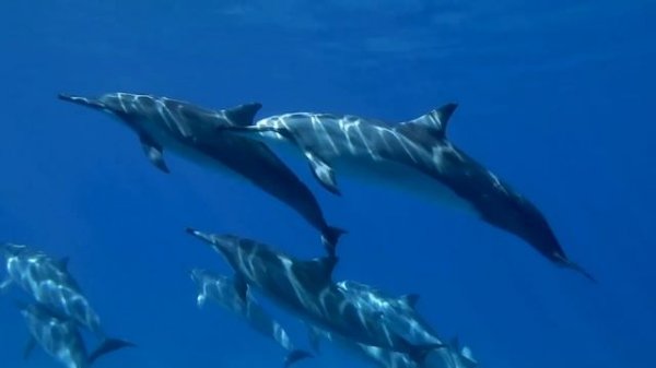 _Luxx Daze _ We Got This