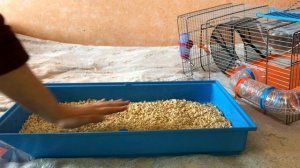 УБОРКА В КЛЕТКЕ У ХОМЯКА