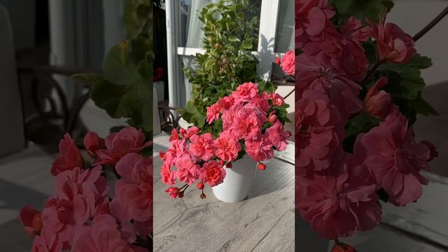 3 октября 2023 г.