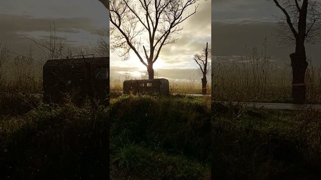 искусство света в природе смотреть онлайн