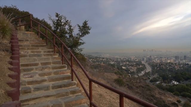 18 Things To Do In Hollywood: A Travel Guide