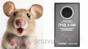 Отпугивающий звук для мышей. ГРАД А-500 - ультразвуковой отпугиватель грызунов