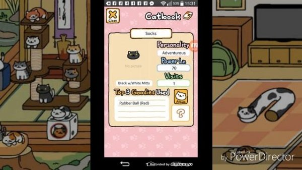 NEKO ATSUME Gameplay! Kitty Collector App - So cute!