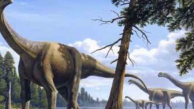 67. Какой должен быть максимальный объём пространства при распространении в нём организма? смотреть онлайн