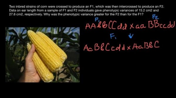 Variance in Genetics explained