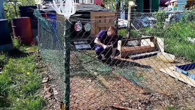 Муларды. Выгул для уток . Выращивание мулардов. #папанадаче смотреть онлайн