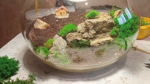 Флорариум/ Моссариум пошаговая инструкция часть 1