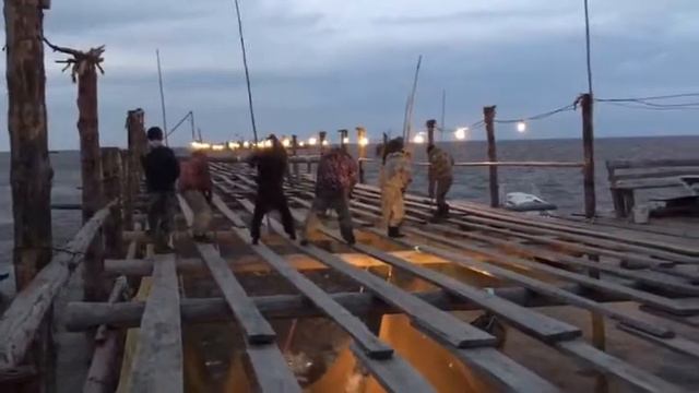 непустили кету на нерест.КУДА СМОТРЯТ ВЛАСТИ смотреть онлайн