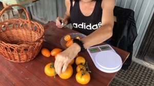 Томат Чухлома. Томат Апельсин.