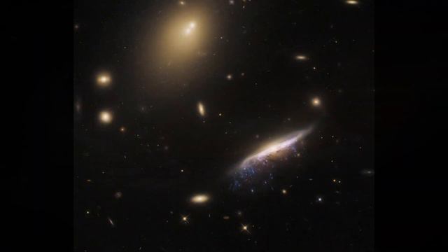 Hubble Space Telescope Discovers HUGE Jellyfish Galaxy | 700 Million Lightyears Away смотреть онлайн