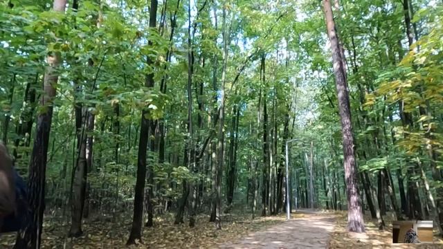 Миллионер пригласил сиротку сиделкой для угасающей дочки… А вернувшись как-то домой, обомлел смотреть онлайн