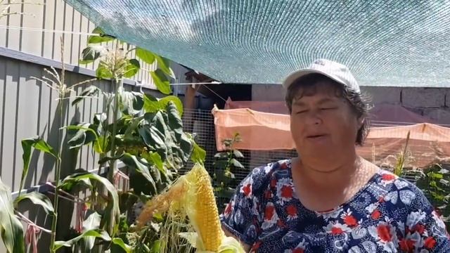 Ейск?Ветер повалил подсолнухи. Посылка от подписчицы)). Наша мама. смотреть онлайн