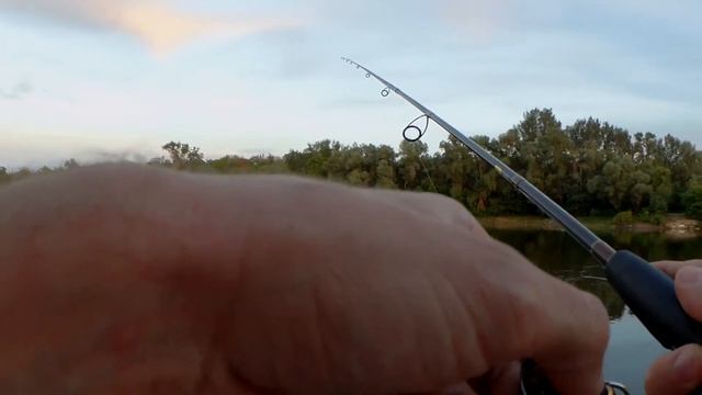 Чехонь на спиннинг с бомбардой