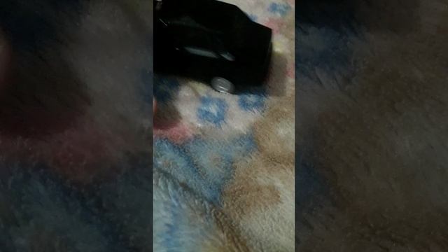 зверь 21099 смотреть онлайн
