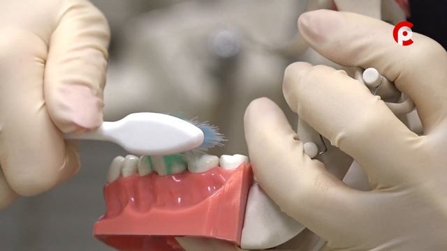 Как правильно чистить зубы?