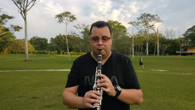 Hino 321 Clarinete Schieffer em Ebonite смотреть онлайн