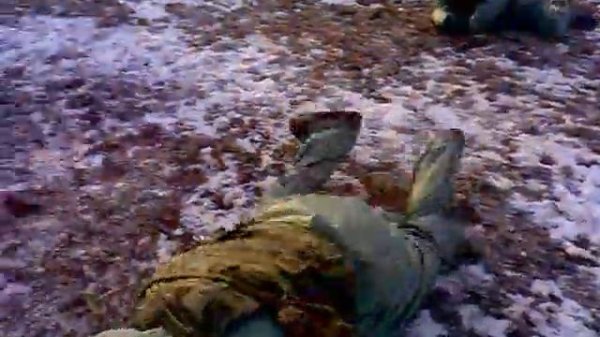 АРМИЯ. тренировка по ATD