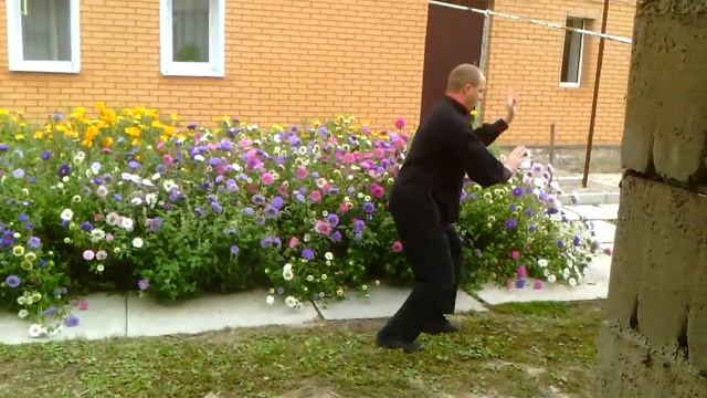 Тайцзи цюань. 36 форм стиля Ян (половина формы)