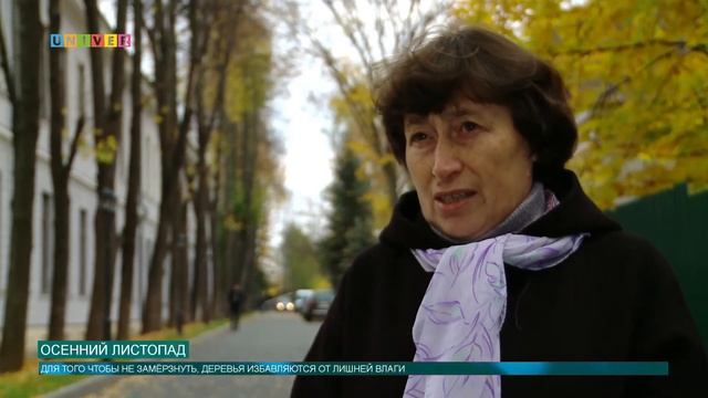 Осенний листопад смотреть онлайн