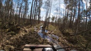 Весенняя охота на гуся в Вологодской области 2024 часть 1