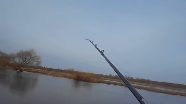 Крупный джиг на полноводной реке. DAIWA RYOGA 1016HL & Lureleader LDI702MHС часть 2 смотреть онлайн