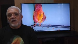 Советы начинающим 8 (Почему мутнеет вода в аквариуме?)