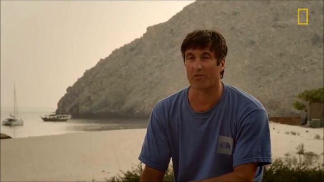 Action Honnold смотреть онлайн