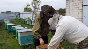 Как сделать отводок