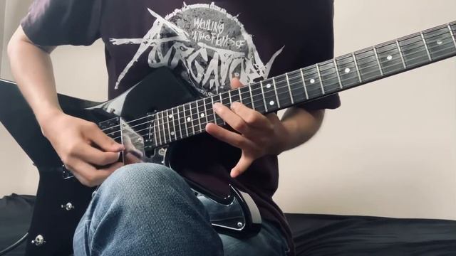 Undertale-Hopes and Dreams- Guitar cover смотреть онлайн