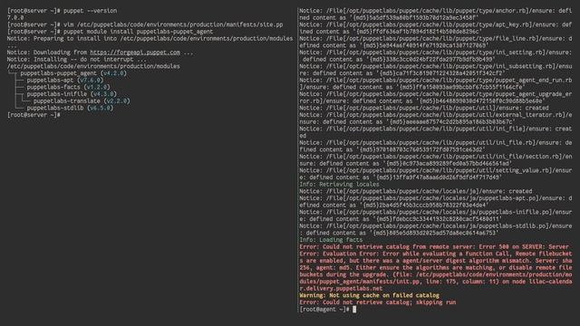 Puppet Agent 7 - Filebucket hash algorithm update смотреть онлайн