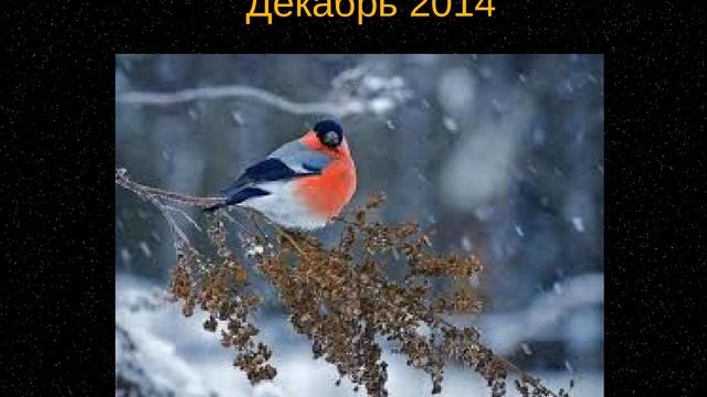 Новолуние в знаке Стрельца 22 ноября 2014 смотреть онлайн