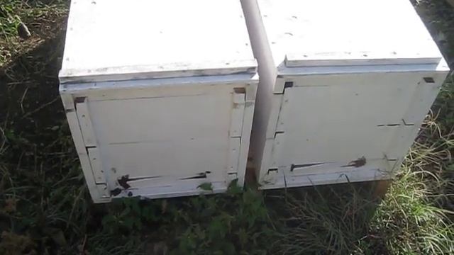 Недочеты в рогатых ульях и утепление крыш в зиму