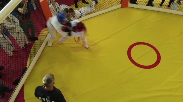 18. Грифоны_в_ФРБ_Клетка_24_декабря_2022_3 смотреть онлайн
