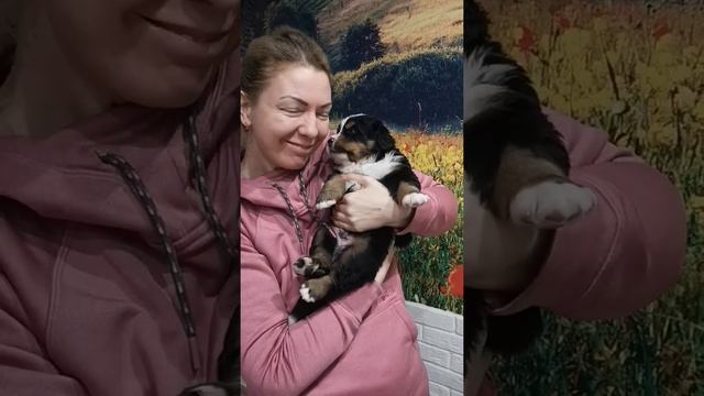 Зелёный мальчик, 28 дней смотреть онлайн