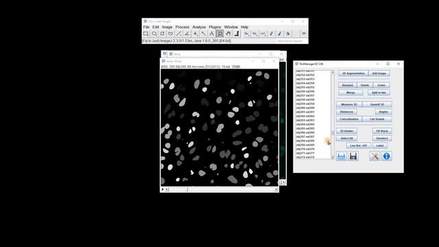 FIJI (ImageJ): Using 3D Objects Counter and 3D Manager to Measure Cells in a Z Stack смотреть онлайн