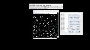 FIJI (ImageJ): Using 3D Objects Counter and 3D Manager to Measure Cells in a Z Stack