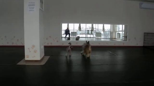 P3130003 смотреть онлайн