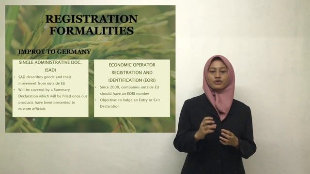 EXPORT VIDEO смотреть онлайн