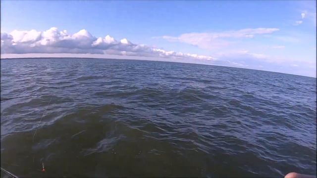 Тейл-Спиннер в работе. Ловля окуня на необычный монтаж смотреть онлайн