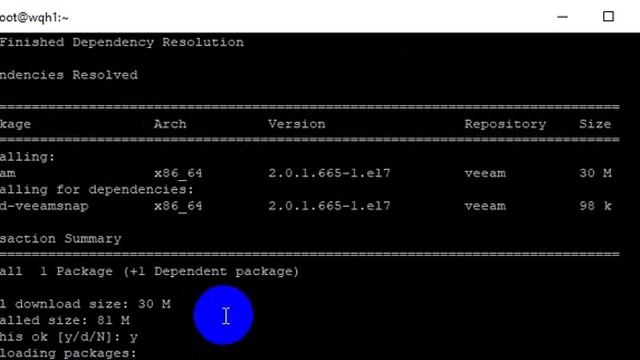Install Veeam Agent for Linux смотреть онлайн