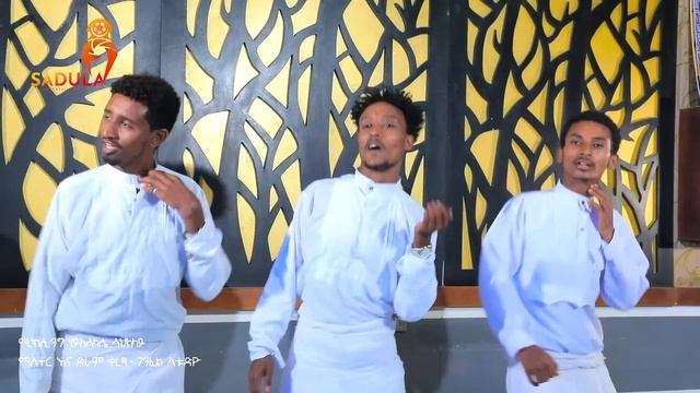 Haile Gebretsadik (nfararem) ሃይለ ገ/ፃዲቕ (ንፍራረም) New Tigrigna Music 2024 (Official Video) смотреть онлайн