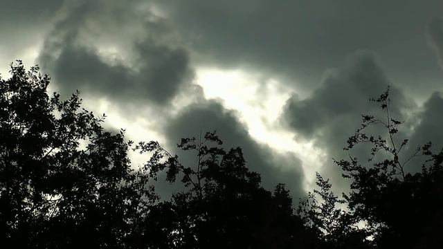 ENGLISH - The Meaning of the Word | You Won't Believe What It Really Means смотреть онлайн