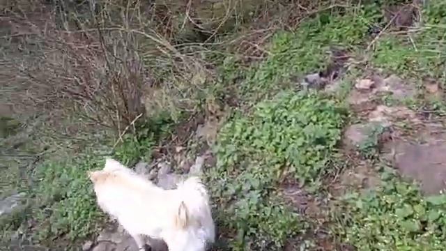 НОВАЯ ЖИЗНЬ ГРППЫ В ТЕОЕГРАММЕ И ВАТЦАПЕ +917093675157 СИТА РАМА ГИРИ ПРИСОЕДИНЯЙТЕСЬ смотреть онлайн