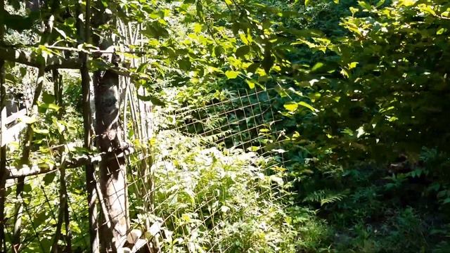 Участок 6 соток -700 000 руб-село Каштаны, Михайловская улица, 22 смотреть онлайн