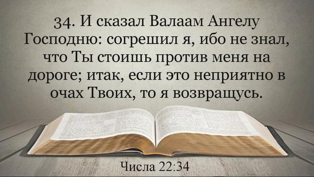 Лучшая Видео Библия. Чтение Числа. Главы 22-23. Синодальный перевод смотреть онлайн