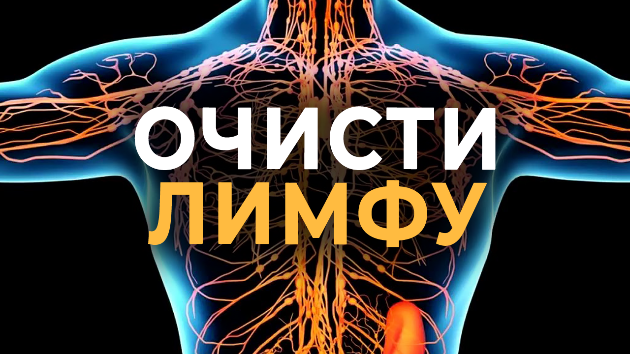 Два упражнения для оттока лимфы / Лимфатическая система скажет вам СПАСИБО! смотреть онлайн