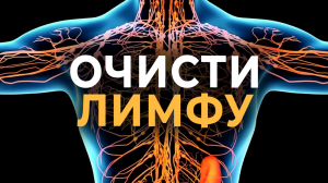 Два упражнения для оттока лимфы / Лимфатическая система скажет вам СПАСИБО!
