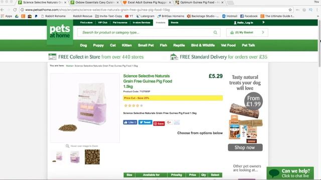 Healthy Guinea Pig Pellet Research - Switching to non-Wheat & Soya based Pellets смотреть онлайн