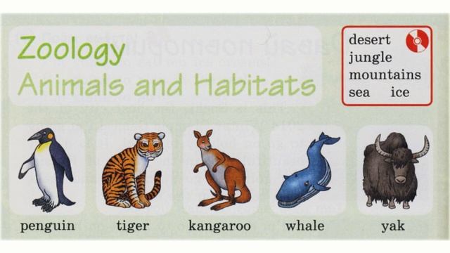 Zoology. Animals And Habitats - Зоология. Животные и места их обитания.