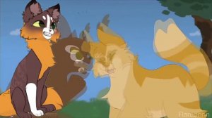 тест на целителя в котах воителях / коты воители / белолапка кв